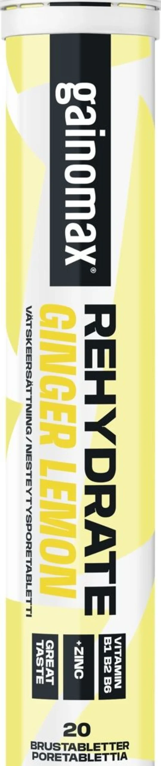 GAINOMAX REHYDRATE EFF GINGER LEMON 20 KPL