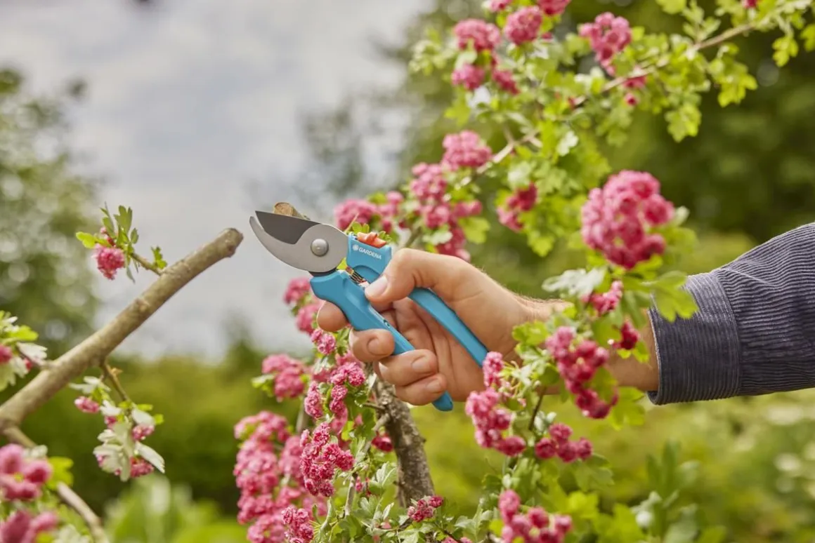 GARDENA EASYCUT OKSASAKSET OHILEIKKAAVAT