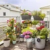 GARDENA AQUABLOOM LOMAKASTELUSARJA
