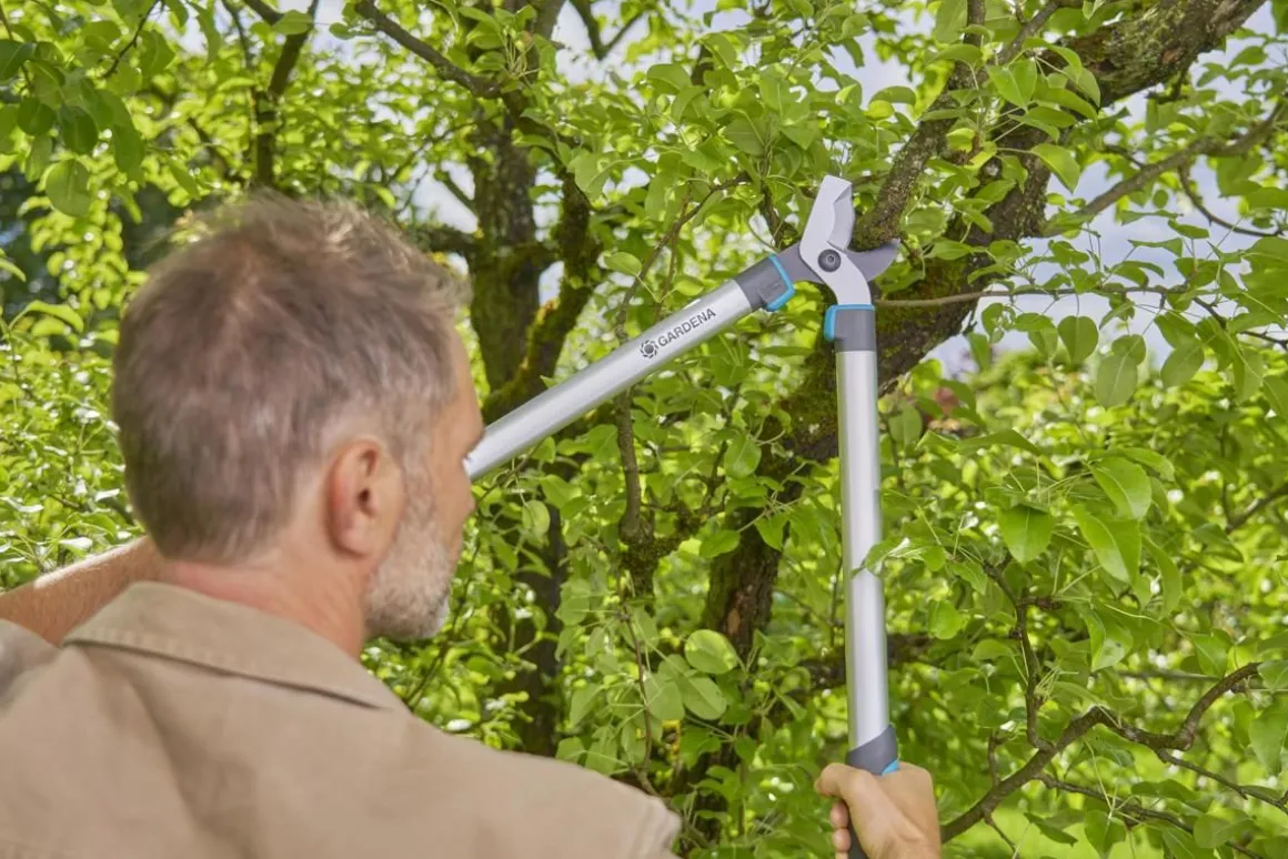 GARDENA EASYCUT L RAIVAUSSAKSET + EASYCUT OKSASAKSET