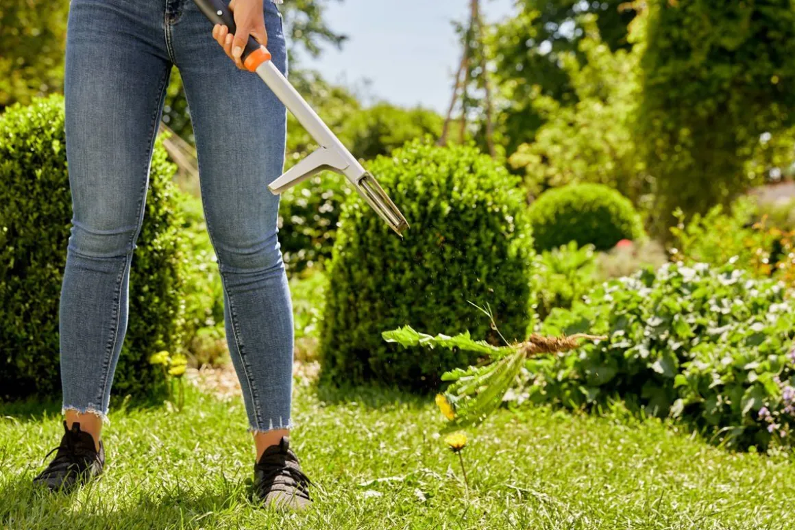 GARDENA RIKKARUOHONPOISTAJA