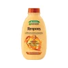 GARNIER RESPONS HONEY TREASURES VAHVISTAVA SHAMPOO HEIKOILLE JA 400
