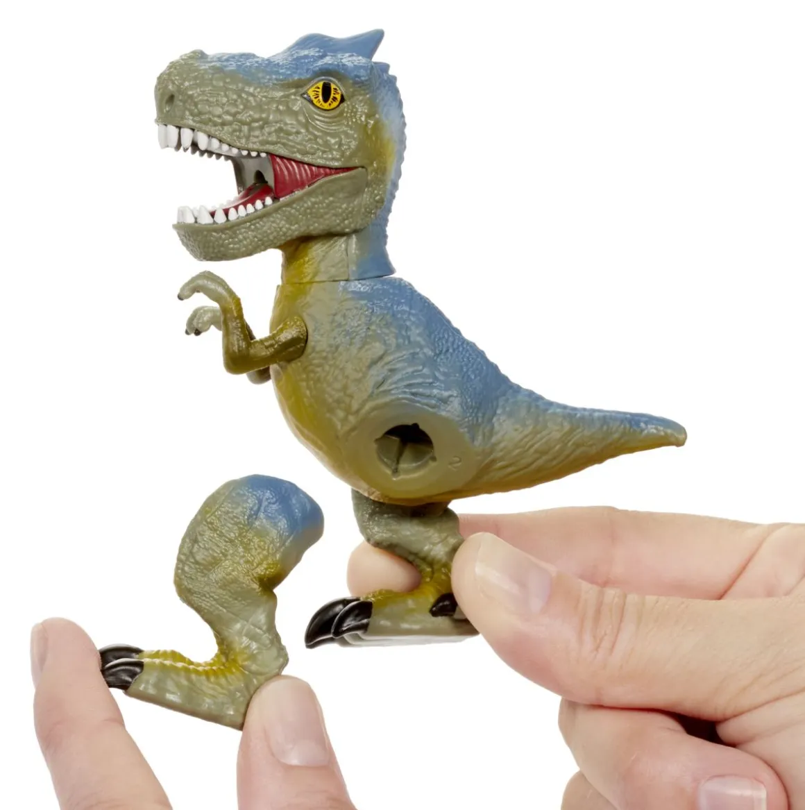 GROSSMOS BLIND DINO