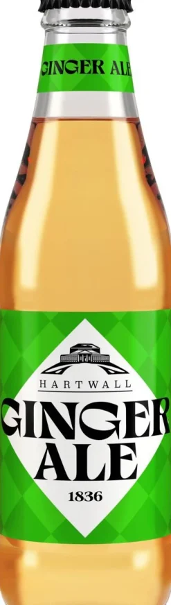 HARTWALL GINGER ALE KLP 250 ML