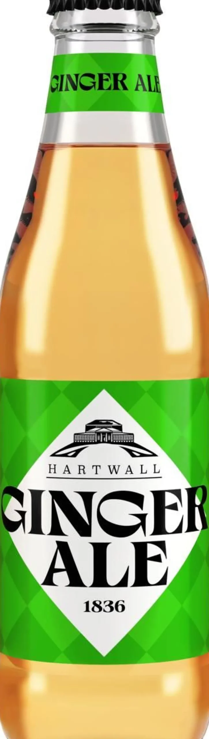 HARTWALL GINGER ALE KLP 250 ML