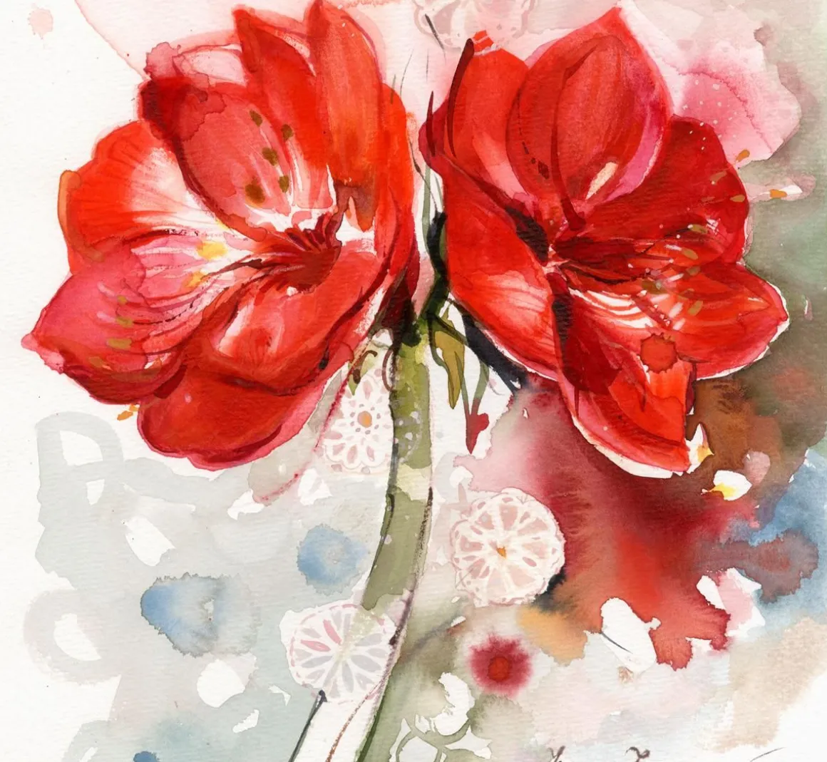 HAVI LAUTASLIINA AMARYLLIS 20KPL/33 CM