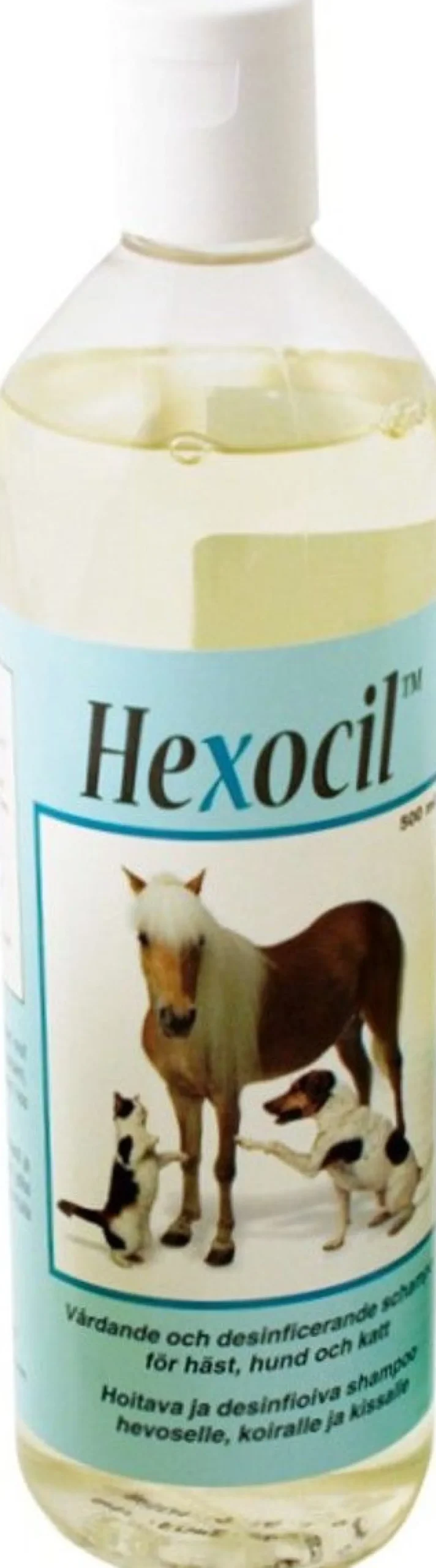 HEXOCIL DESINFIOIVA SHAMPOO 500 ML