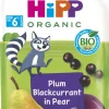 HIPP HIPPIS PÄÄRYNÄÄ, LUUMUA, MUSTAHERUKKAA LUOMU 100 G