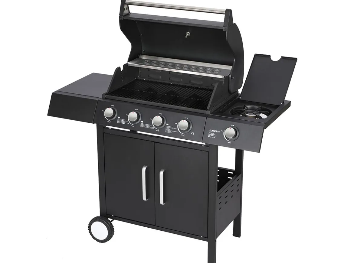 HORNET ROAST KAASUGRILLI 4+1