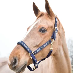 HORZE HAMPTONS -RIIMU XF T.SININEN