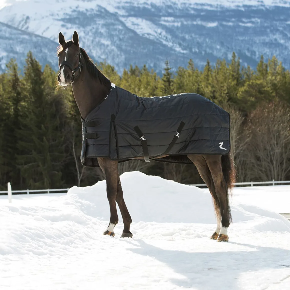 HORZE NEVADA WINTER STABLE BLANKET, 200G 155 BL