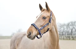 HORZE HAMPTONS -RIIMU F T.SININEN