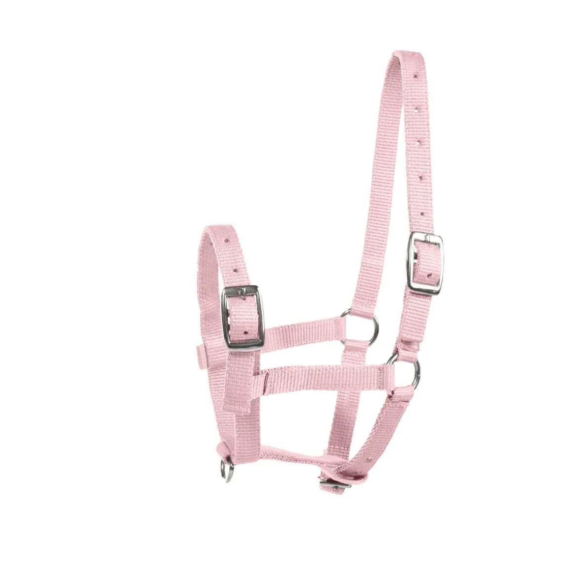 HORZE SPIRIT VARSARIIMU FOAL PINKKI