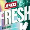 JENKKI FRESH DEEPMINT KSYLITOLIPURUKUMI 35 G