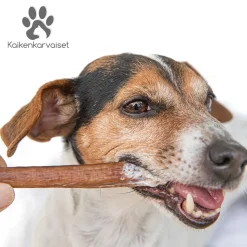 KAIKENKARVAISET KAMELIN NAHKA  150 G