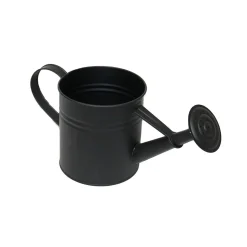 KASTELUKANNU RAITA MUSTA 2LTR