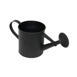 KASTELUKANNU RAITA MUSTA 2LTR