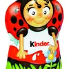 KINDER PÄÄSIAIS SUKLAAHAHMO  35 G