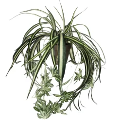 KIRJORÖNSYNLILJA RUUKUSSA 45CM