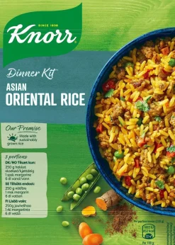 KNORR ORIENT RICE ATERIA-AINES 252 G