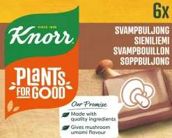 KNORR SIENI LIEMIKUUTIO 6X10G 60 G