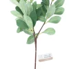 KORISTE OKSAN LEHTI 90CM