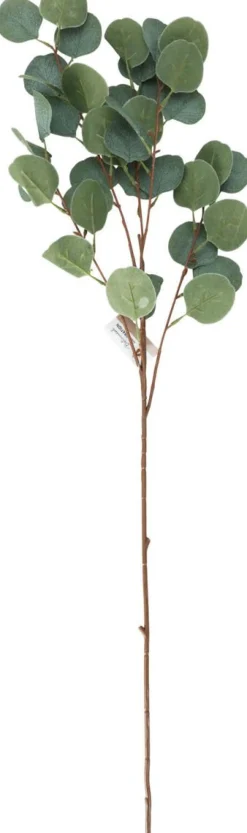 KORISTE OKSAN LEHTI 90CM