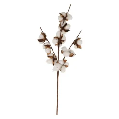 KORISTEOKSA 54CM