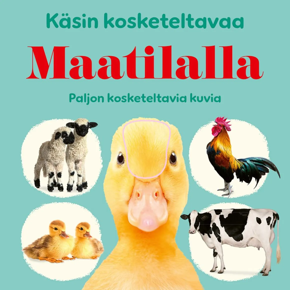 KÄSIN KOSKETELTAVAA: MAATILALLA