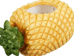 KUKKARUUKKU HEDELMÄ LAJITELMA