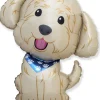 LABRADOODLE MUOTOFOLIOPALLO