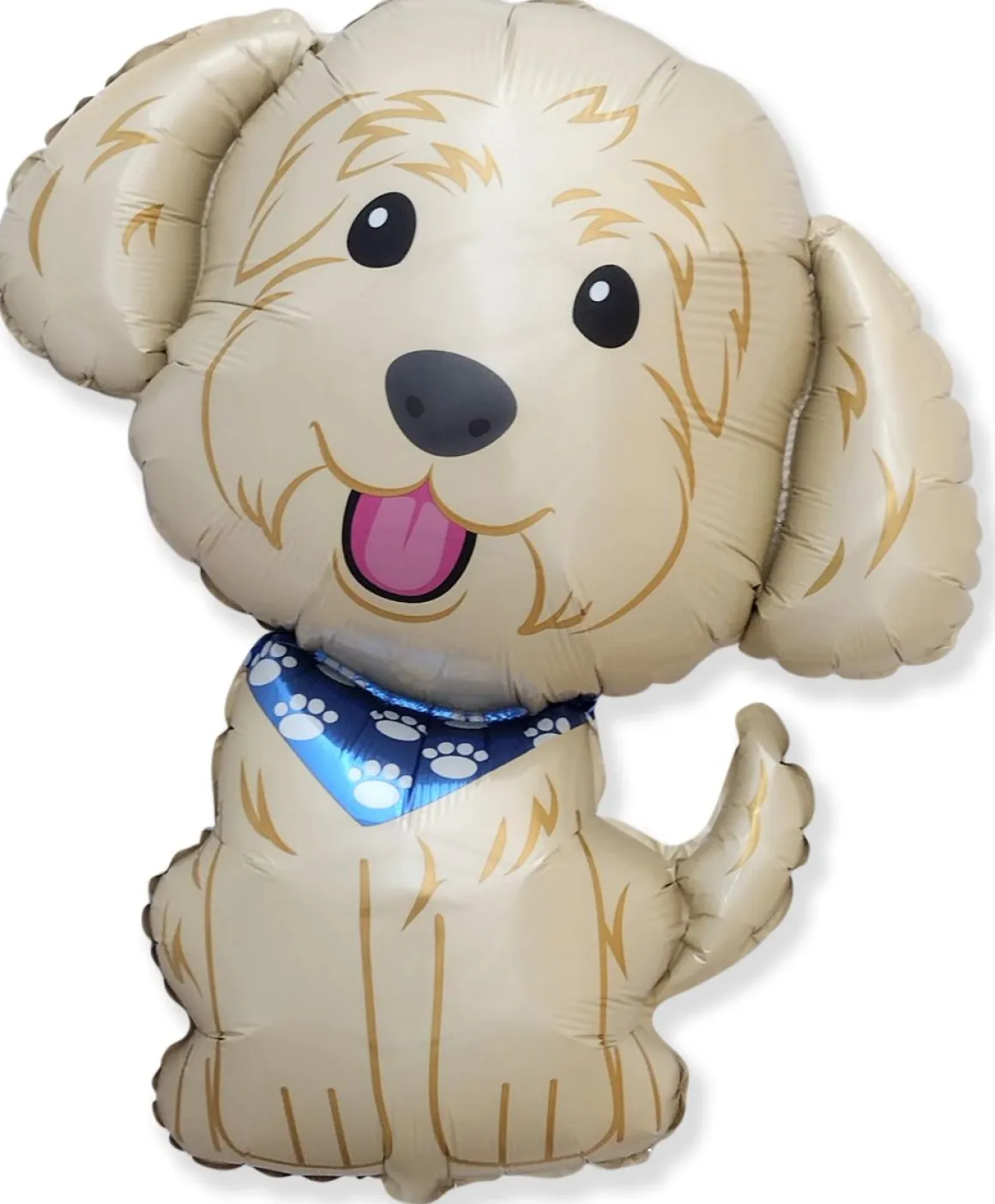 LABRADOODLE MUOTOFOLIOPALLO