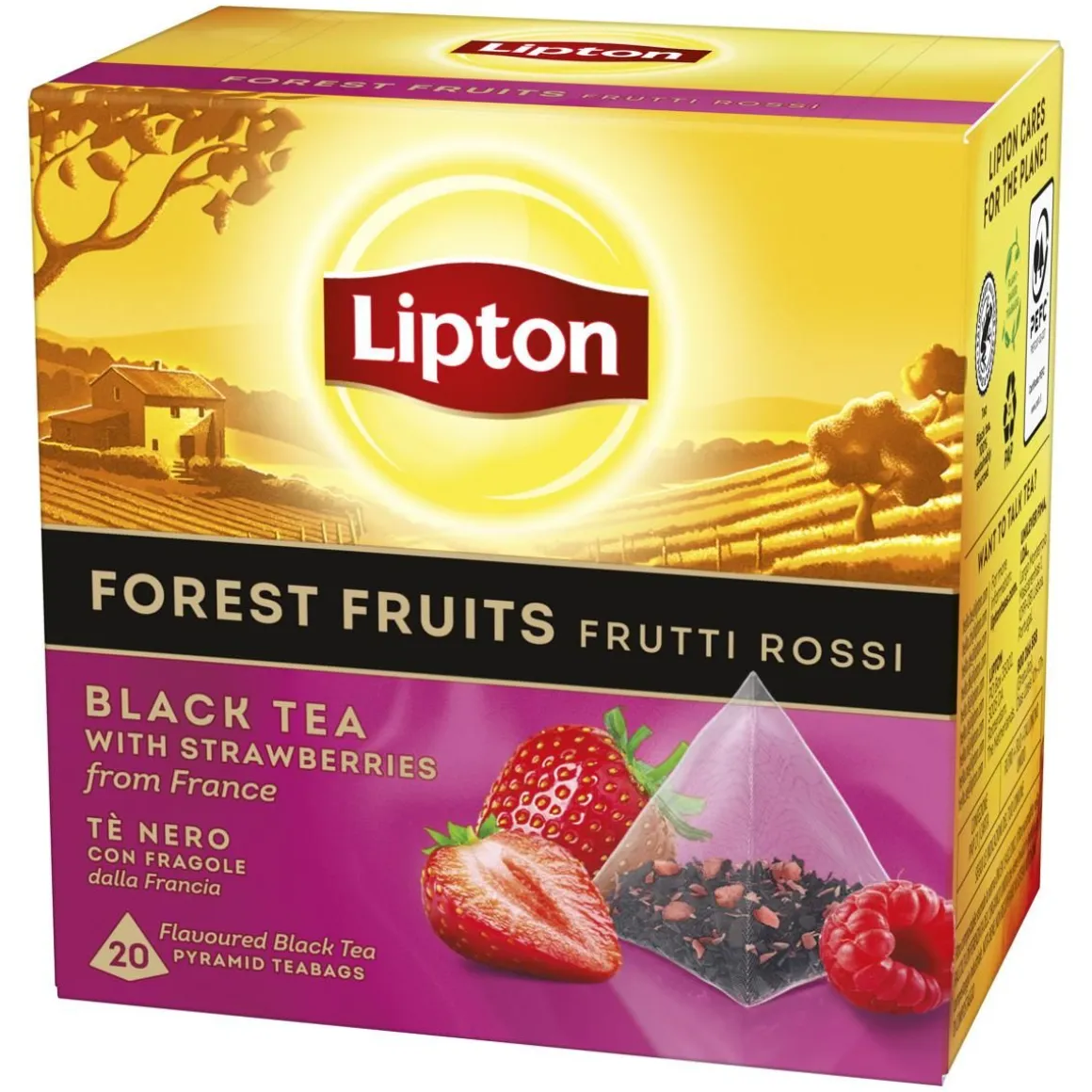 LIPTON FOREST FRUIT PYRAMIDI MUSTA TEE 20PS 360 G