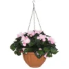 4LIVING BEGONIA AMPPELI TEKOKASVI VAALEANPUNAINEN