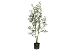 4LIVING OLIIVIPUU 130 CM TEKOKASVI