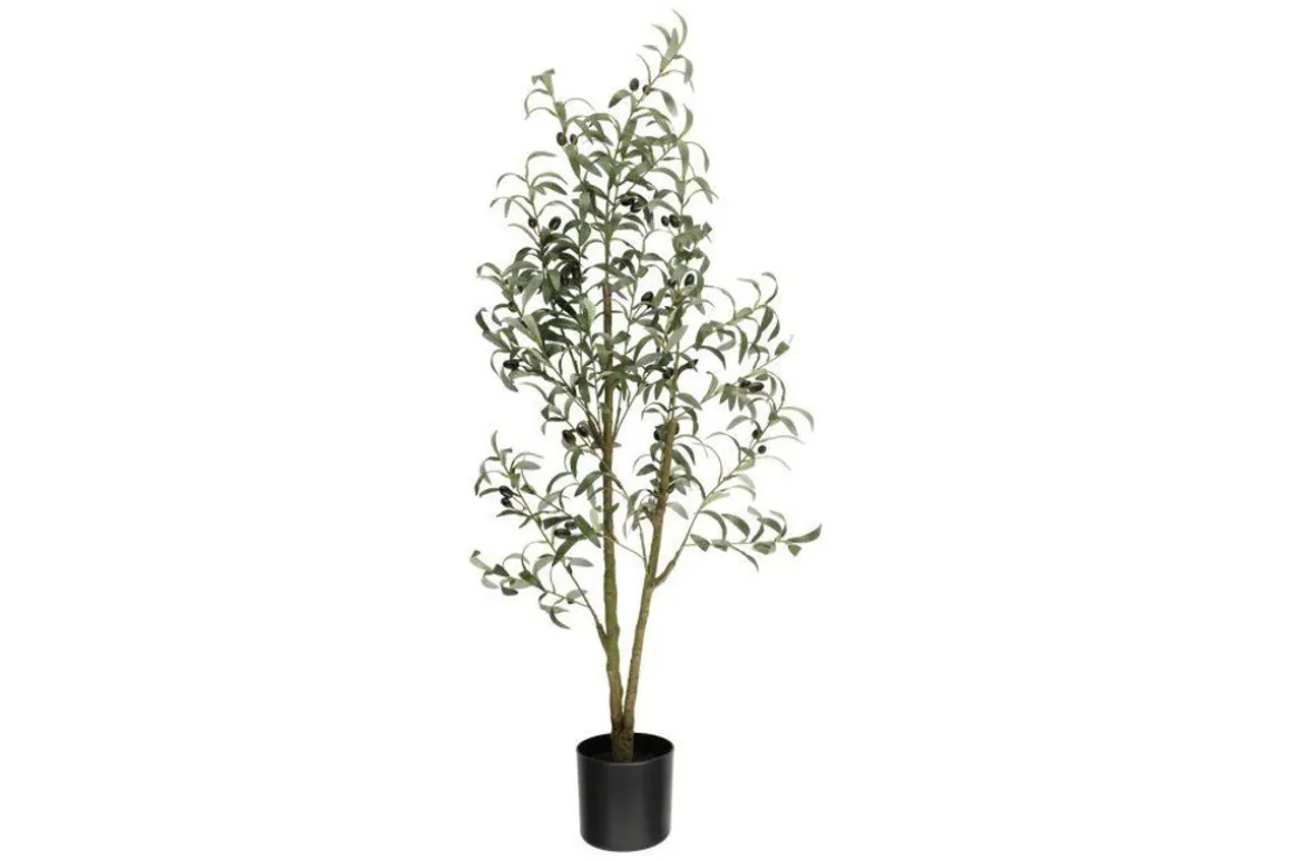 4LIVING OLIIVIPUU 130 CM TEKOKASVI