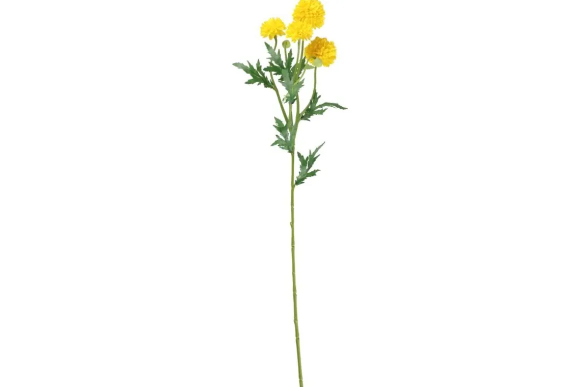 4LIVING PALLOKRYSANTEEMI OKSA 61 CM
