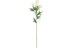 4LIVING PALLOKRYSANTEEMI OKSA 61 CM