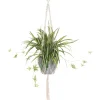 4LIVING RÖNSYLILJA AMPPELI 90 CM