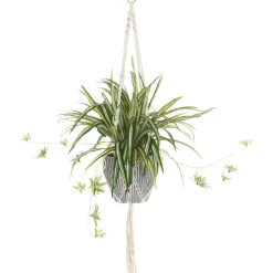 4LIVING RÖNSYLILJA AMPPELI 90 CM