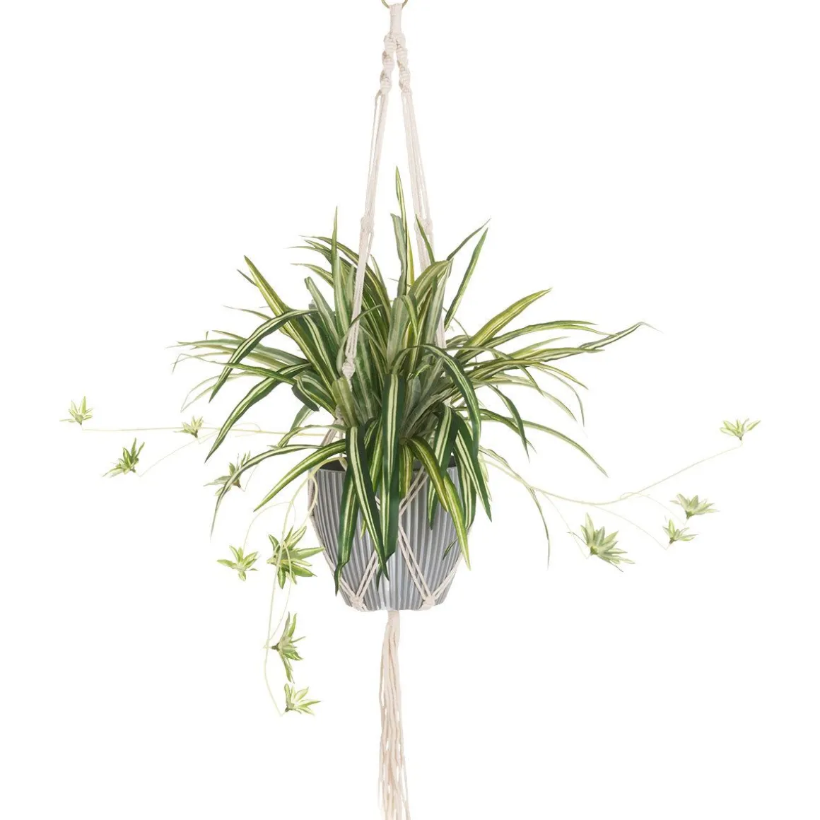 4LIVING RÖNSYLILJA AMPPELI 90 CM