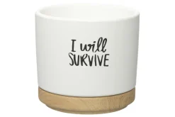 4LIVING RUUKKU ALUSLAUTASELLA QUOTES 12 CM LAJITELMA