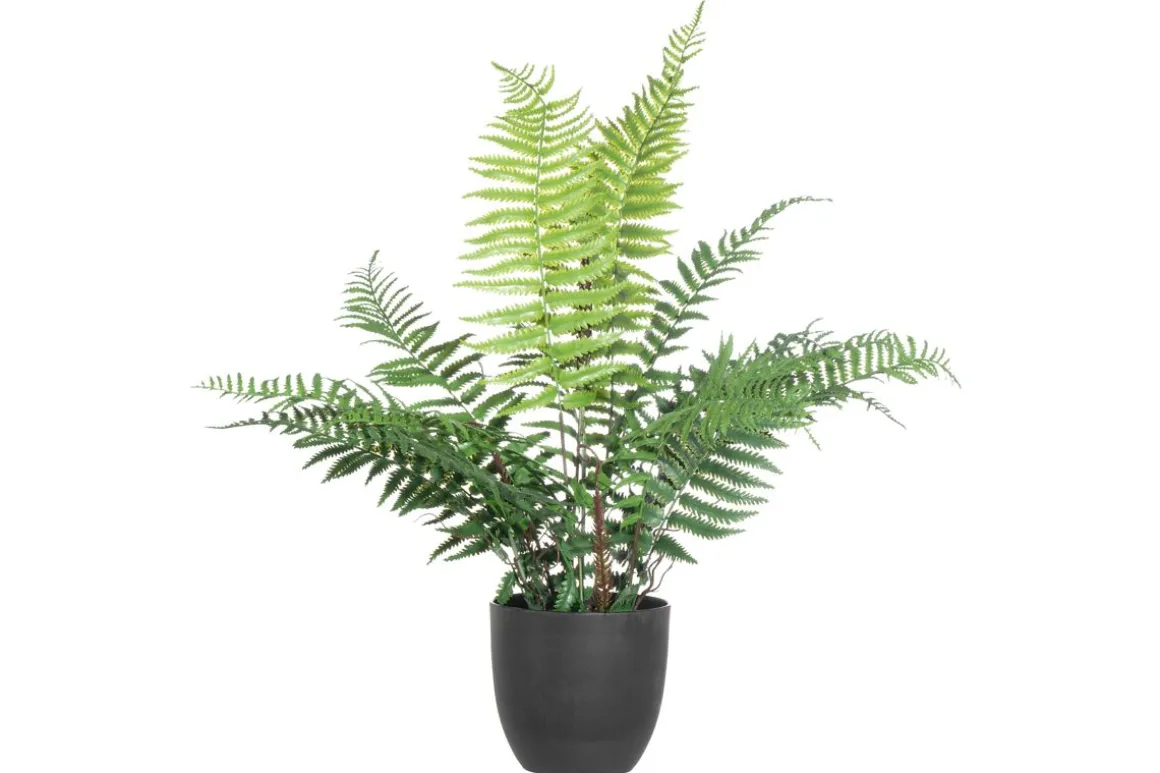 4LIVING SANIAINEN 66 CM