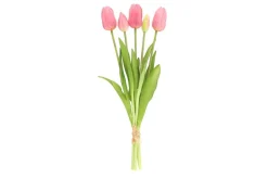 4LIVING TULPPAANI KIMPPU 40 CM LAJITELMA