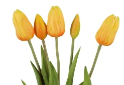 4LIVING TULPPAANI KIMPPU 40 CM LAJITELMA