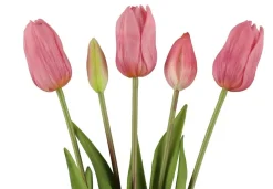 4LIVING TULPPAANI KIMPPU 40 CM LAJITELMA