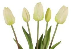 4LIVING TULPPAANI KIMPPU 40 CM LAJITELMA