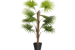 4LIVING VIUHKAPALMU RUUKUSSA 90 CM