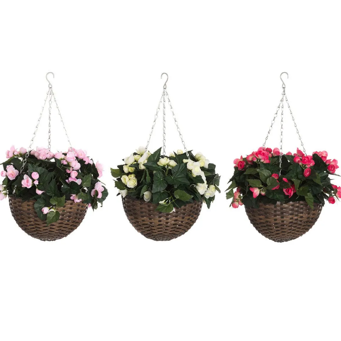 4LIVING BEGONIA AMPPELI 60 CM