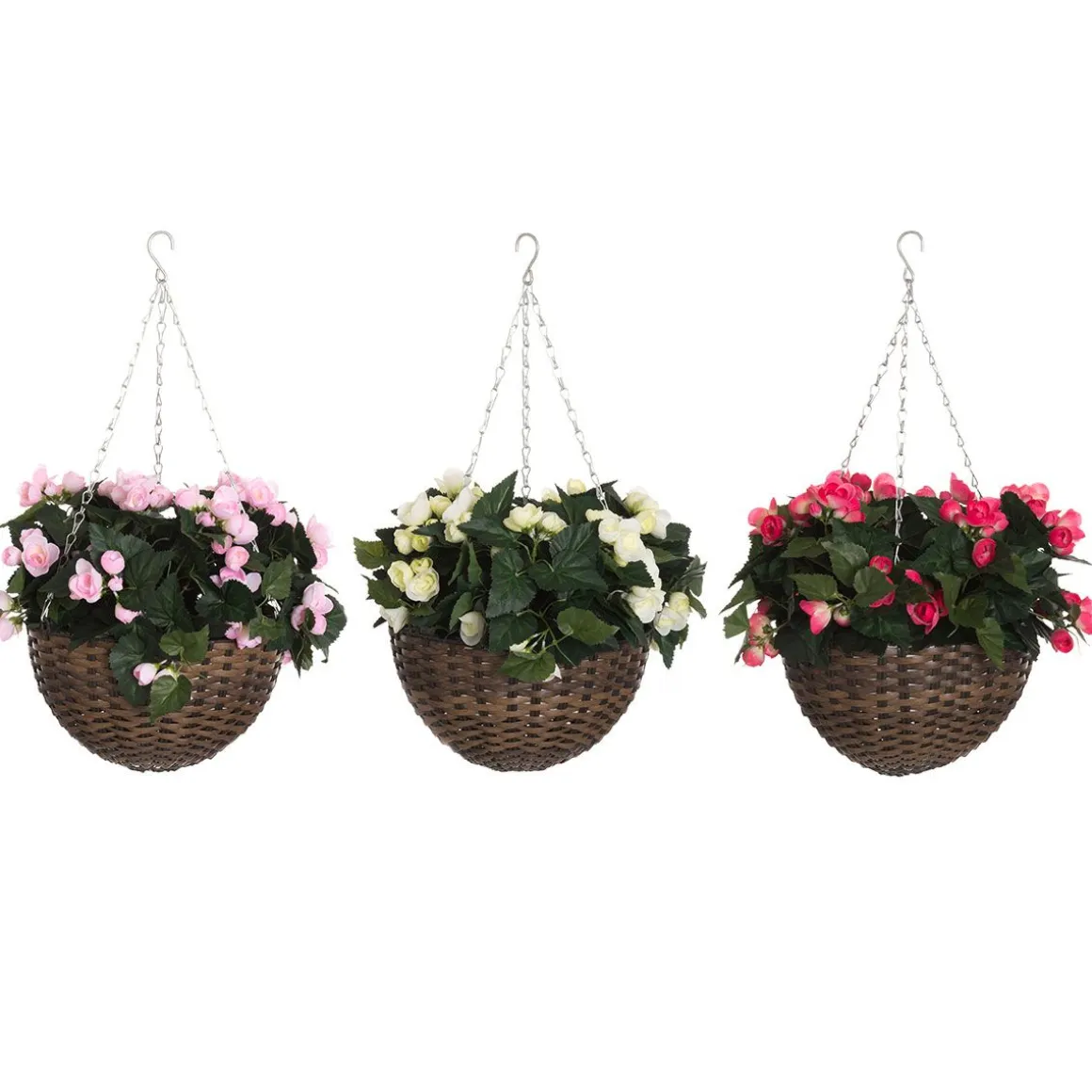 4LIVING BEGONIA AMPPELI 60 CM